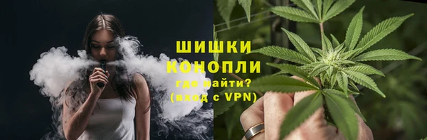 дмт Богородск