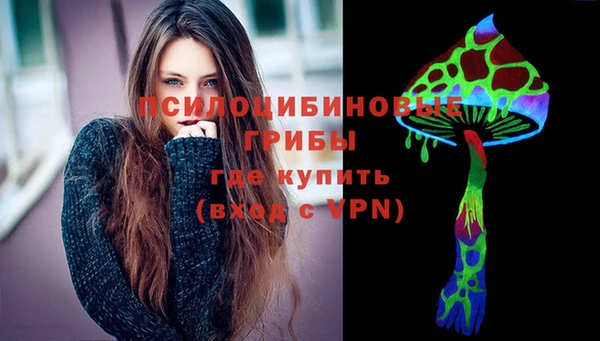 дмт Богородск