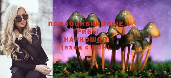 дмт Богородск
