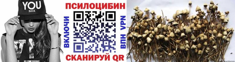 купить  цена  Городовиковск  Псилоцибиновые грибы Magic Shrooms 